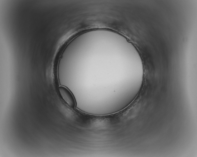 X0000114230248200910161617