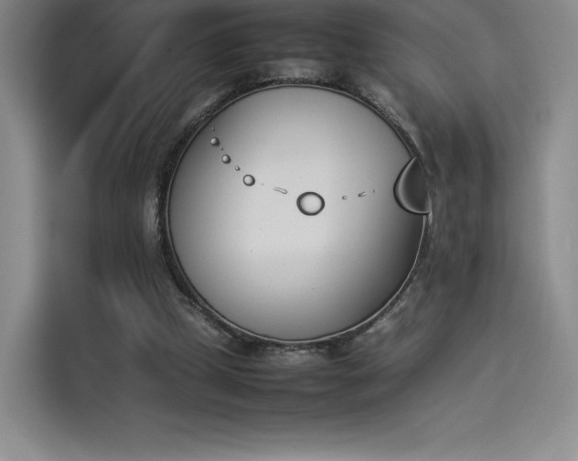 X0000114230249200910161617