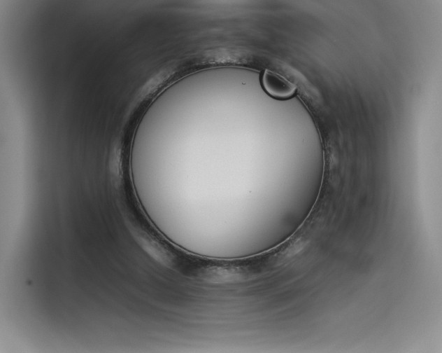X0000114230250200910161617