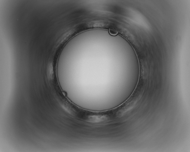 X0000114230251200910161617
