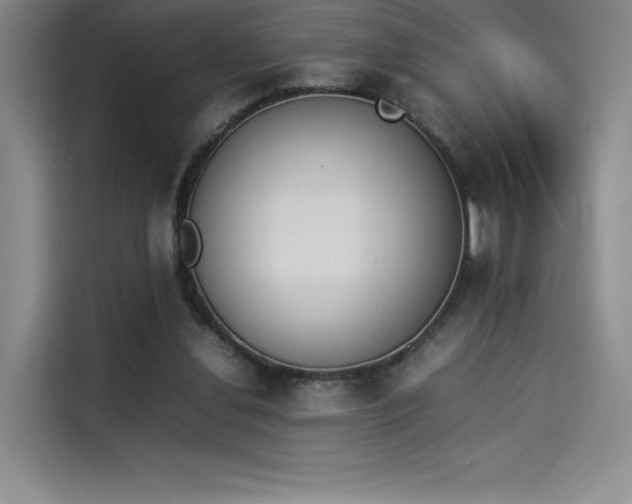 X0000114230252200910161617