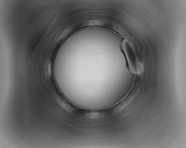 X0000114230253200910161617
