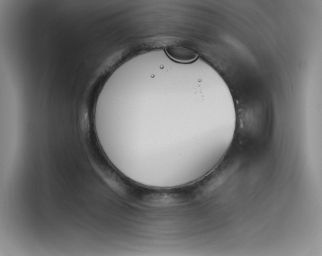 X0000114230254200910161617