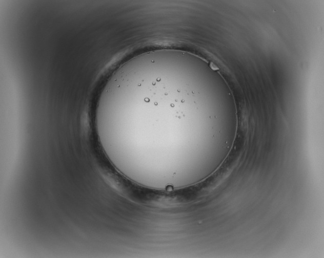 X0000114230256200910161617