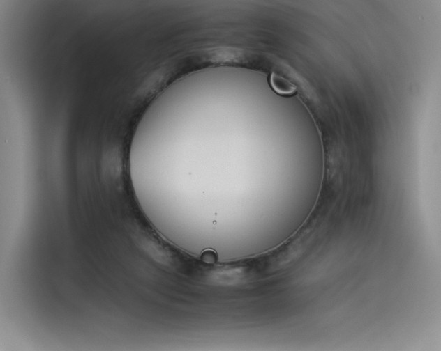 X0000114230257200910161617