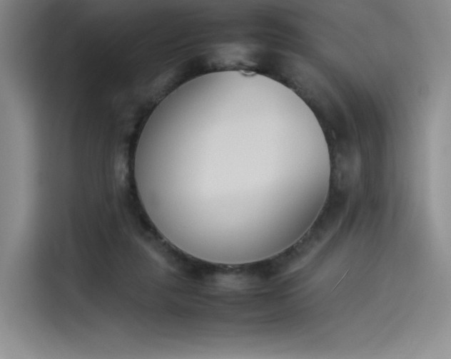 X0000114230259200910161617