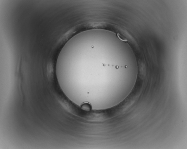 X0000114230260200910161617