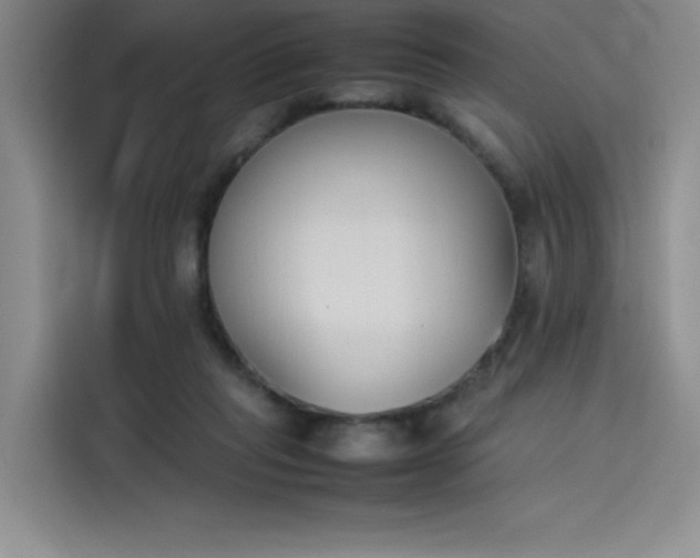 X0000114230261200910161617
