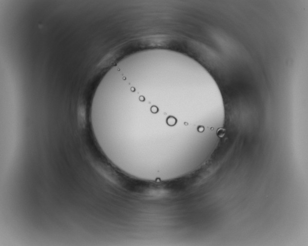 X0000114230262200910161617