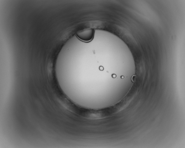 X0000114230263200910161617