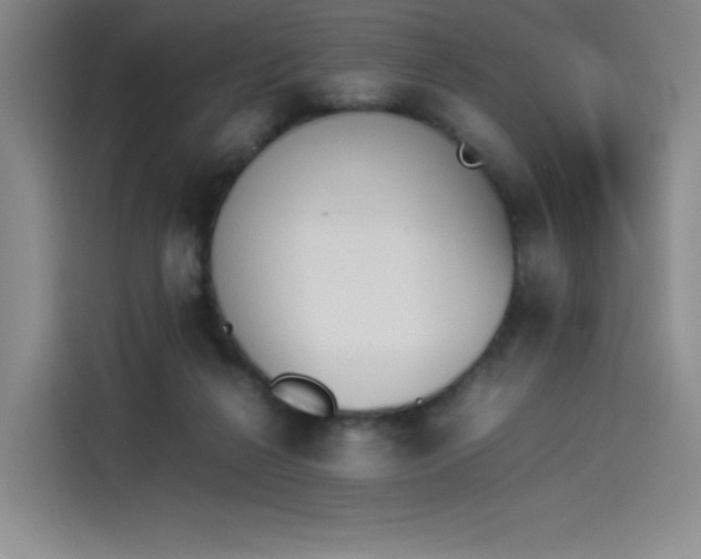 X0000114230264200910161617
