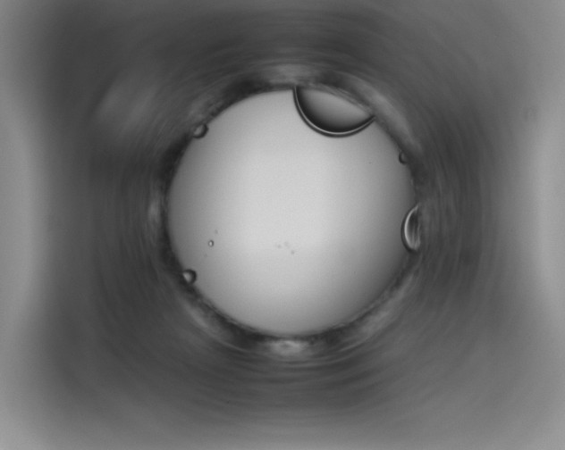 X0000114230265200910161617