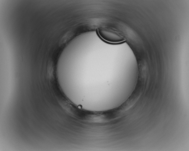 X0000114230266200910161617