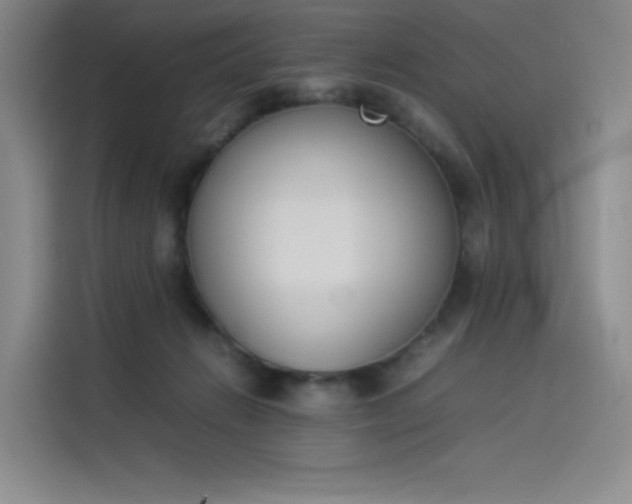 X0000114230270200910161618
