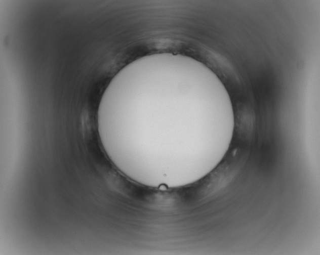 X0000114230272200910161618