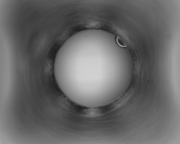 X0000114230273200910161618