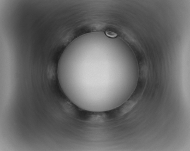 X0000114230274200910161618