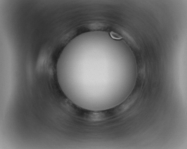 X0000114230277200910161618
