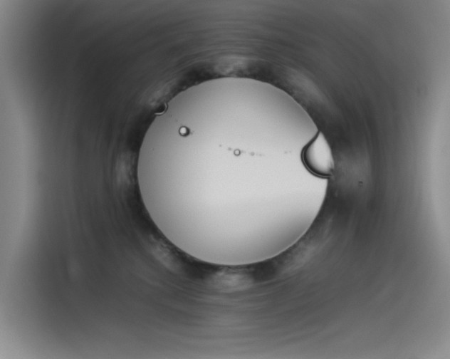 X0000114230280200910161618