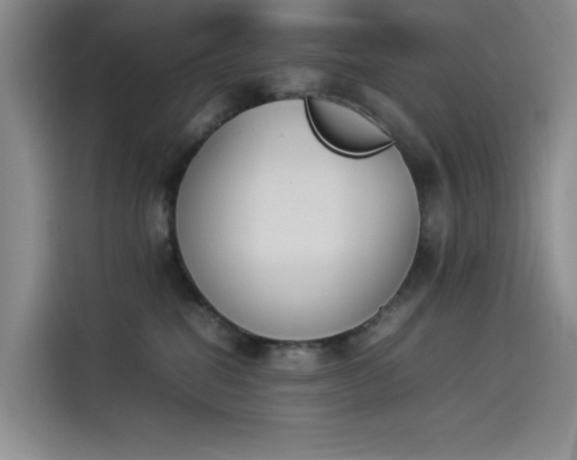 X0000114230282200910161618