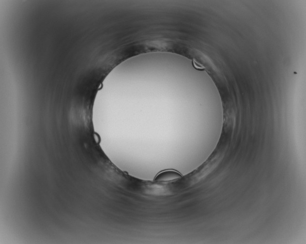 X0000114230285200910161618