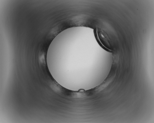 X0000114230286200910161618
