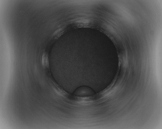 X0000114230287200910161618