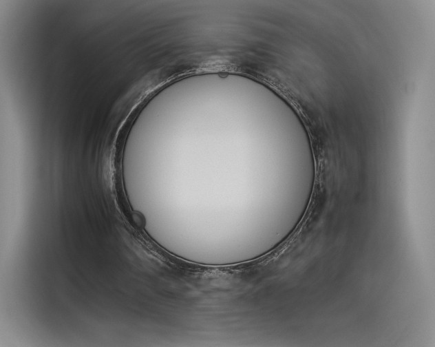 X0000114230290200910161617