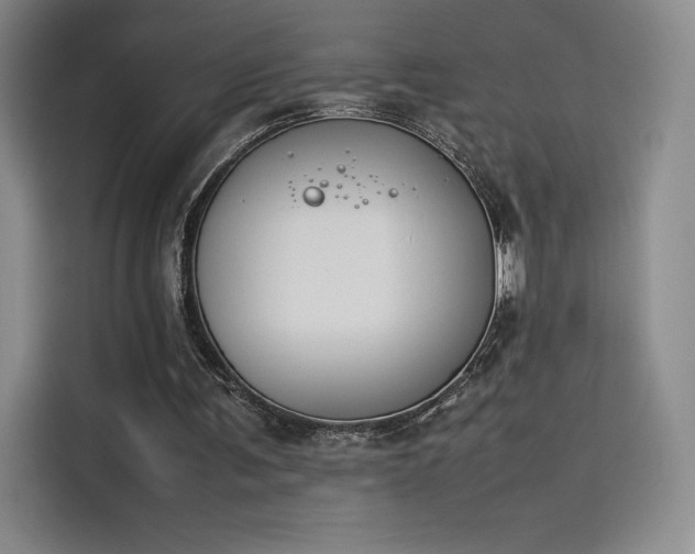 X0000114230291200910161617