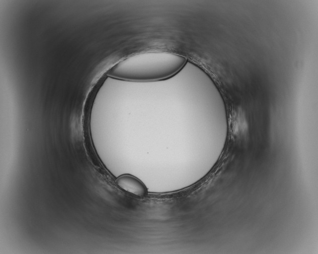 X0000114230292200910161617