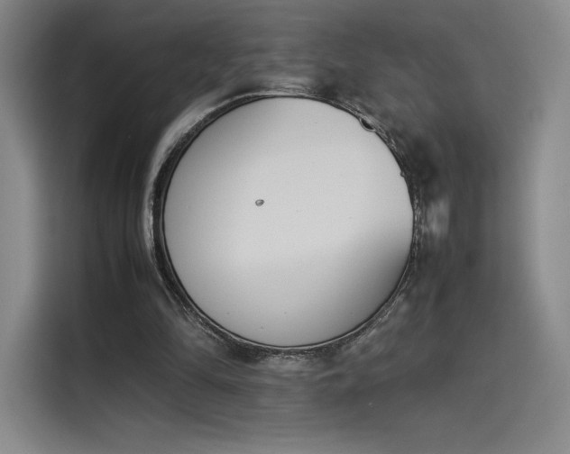 X0000114230294200910161617
