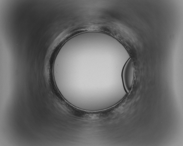 X0000114230295200910161617