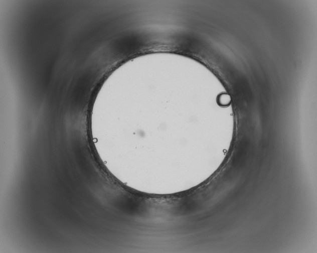 X0000114230297200910161617
