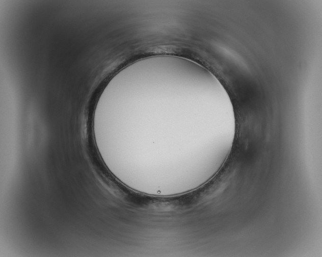 X0000114230299200910161617