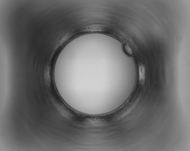 X0000114230300200910161617