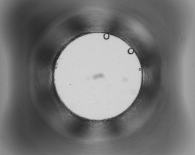X0000114230301200910161617