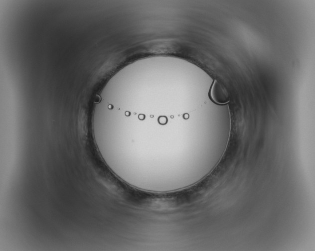 X0000114230303200910161617