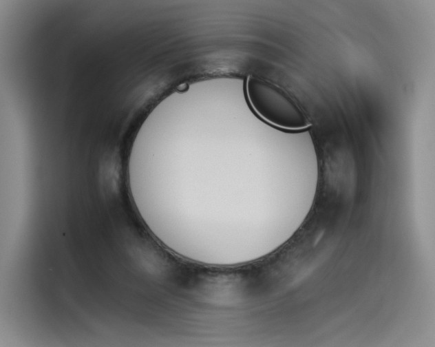 X0000114230304200910161617