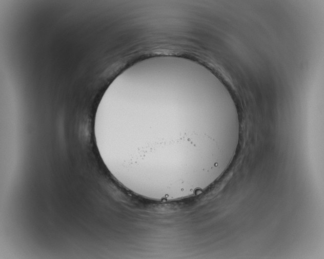 X0000114230305200910161617