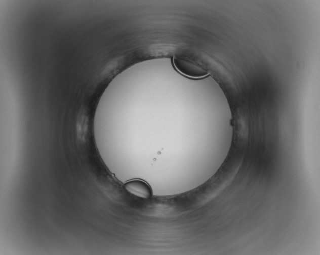 X0000114230308200910161617