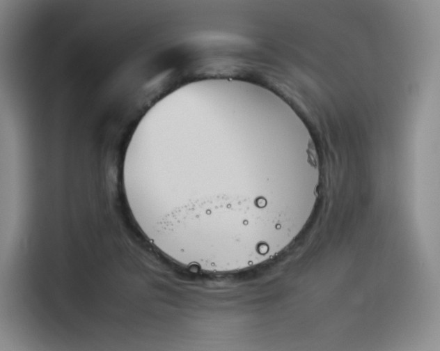 X0000114230309200910161617