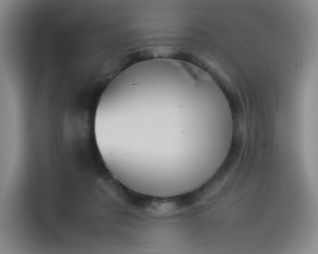 X0000114230311200910161617