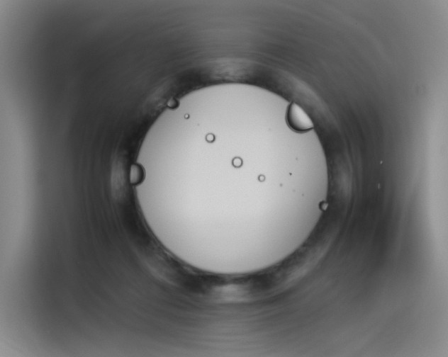 X0000114230312200910161617