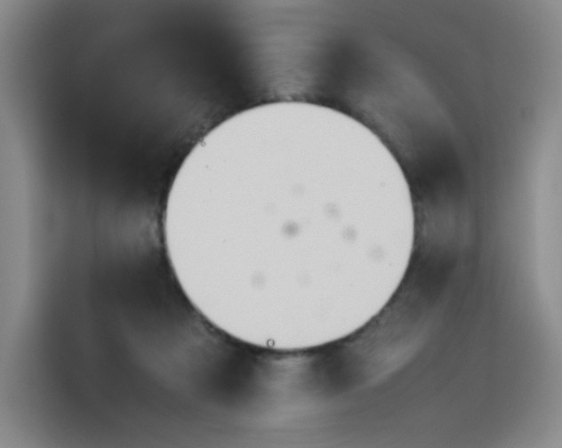 X0000114230313200910161617