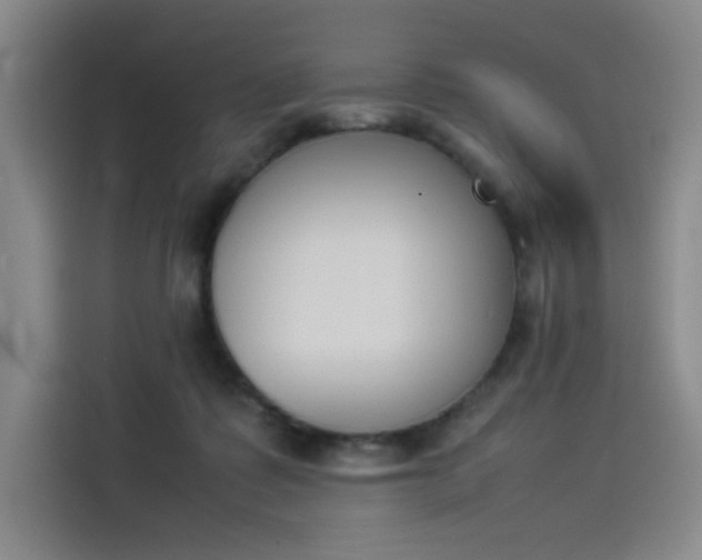 X0000114230315200910161617