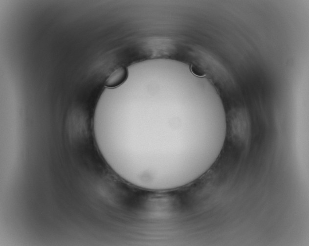 X0000114230316200910161617