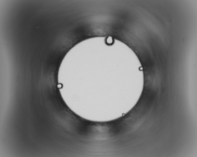 X0000114230317200910161617