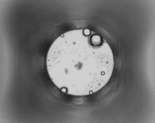X0000114230321200910161617
