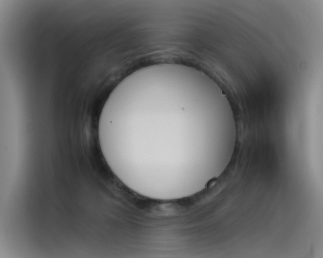 X0000114230324200910161617