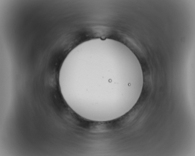 X0000114230325200910161617